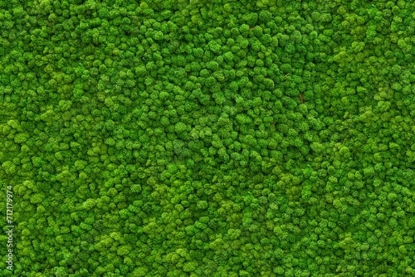 Fototapeta Seamless moss texture for wall decoration, wall mural, green for interior architecture, ambient wall material 1