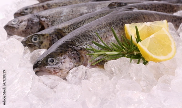Fototapeta Fresh rainbow trout on cool ice with lemon