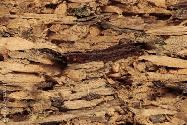 Obraz Chipboard close-up