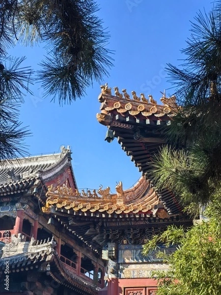 Obraz chinese temple