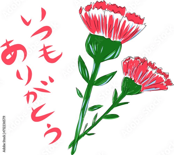 Fototapeta 母の日 ありがとう カーネーション