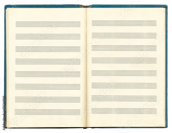 Fototapeta Opened blank pages of musical notes in a music notebook. Five-line staff without a key. Vintage music note pages. Music notation elements for design.