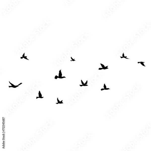 Obraz Flying Bird Silhouette