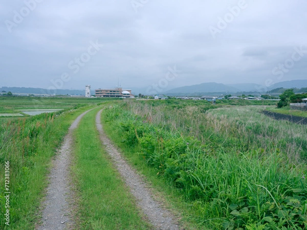 Obraz 畦道を進む