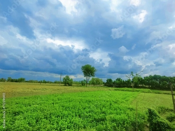 Obraz green field and sky