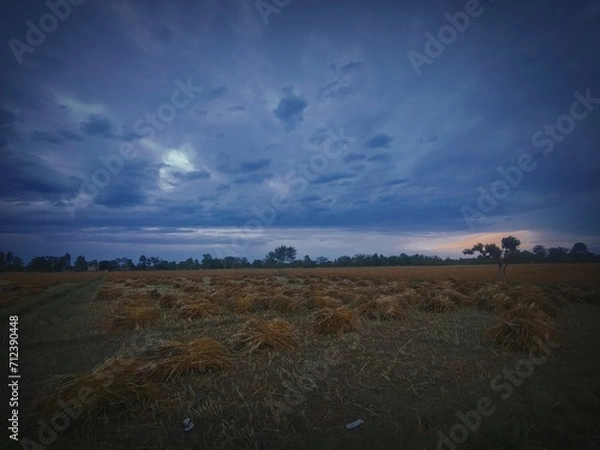 Obraz sunset in the desert