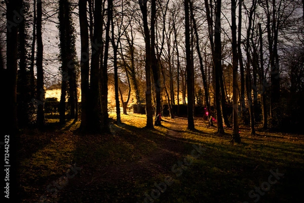 Fototapeta Mystère nocturne, forêt illuminée par des lasers comme un laser game