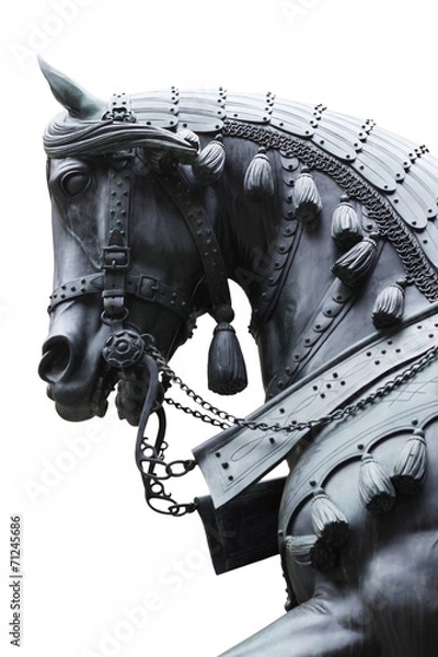 Obraz Isolated Fragment of equestrian statue