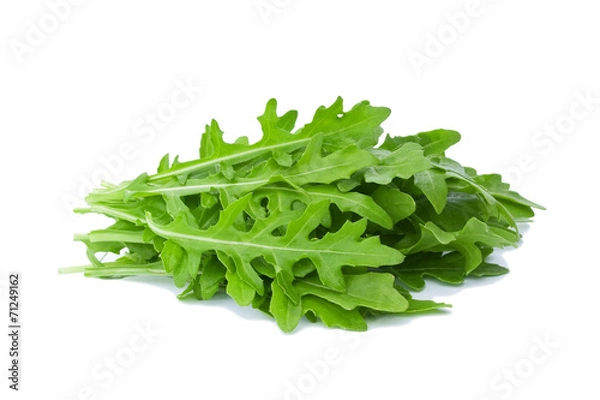 Obraz Rukola na białym tle