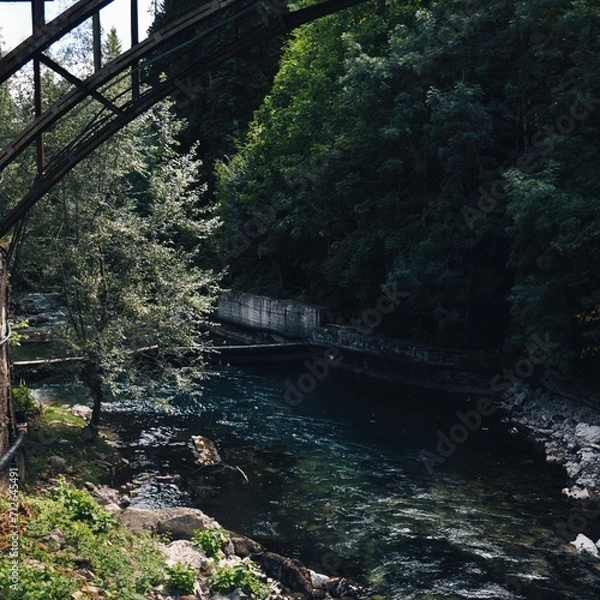 Fototapeta bridge over the river