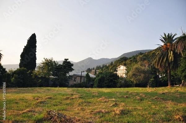 Fototapeta landscape with trees
