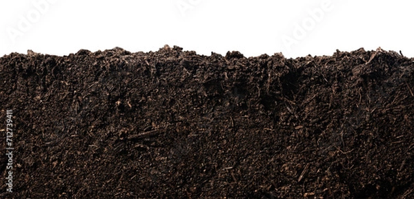 Fototapeta Soil or dirt section isolated on white background