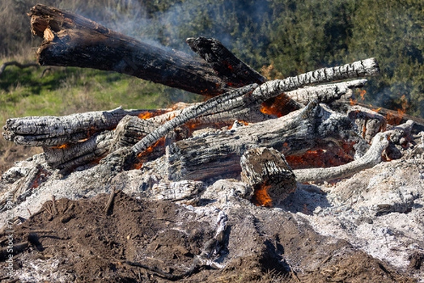 Fototapeta Control Burn Pile Initial Light