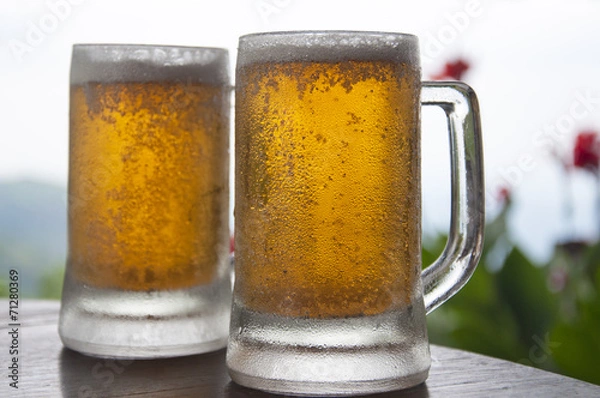 Obraz Two Mugs of Chilled Beer