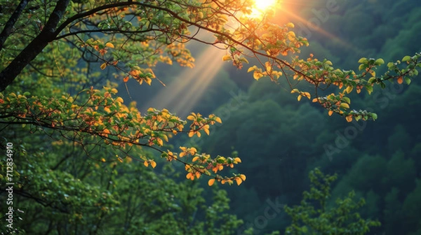 Fototapeta Beautiful view on a sunny day in the forest. Green branches and dense forest.