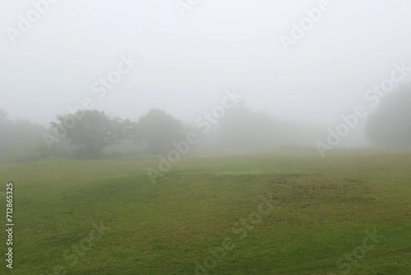 Fototapeta 初夏の朝靄