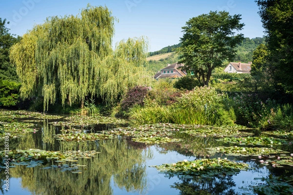 Obraz Claude Monet's water garden at Giverny in France