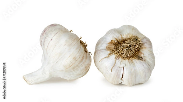Obraz Garlic on white background