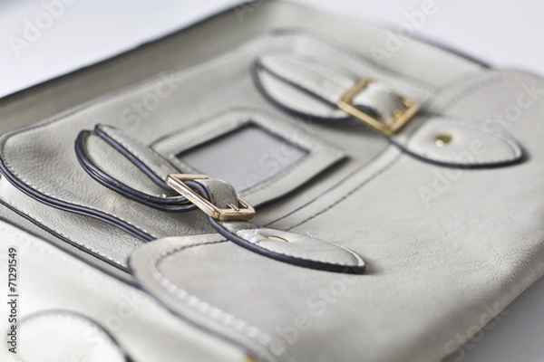 Obraz Grey Handbag