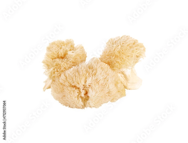 Fototapeta Hericium erinaceus mushroom (monkey head mushroom, bearded tooth fungus, bearded hedgehog mushroom, pom pom, lion's mane mushroom) transparent png