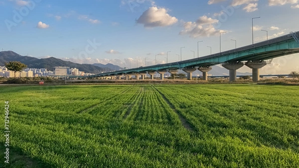 Obraz 부산 대저생태공원 busan daejeopark