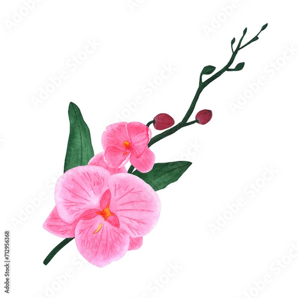 Obraz Watercolor orchid branch. Flowers on a white background for printing on textiles, cards and invitations.