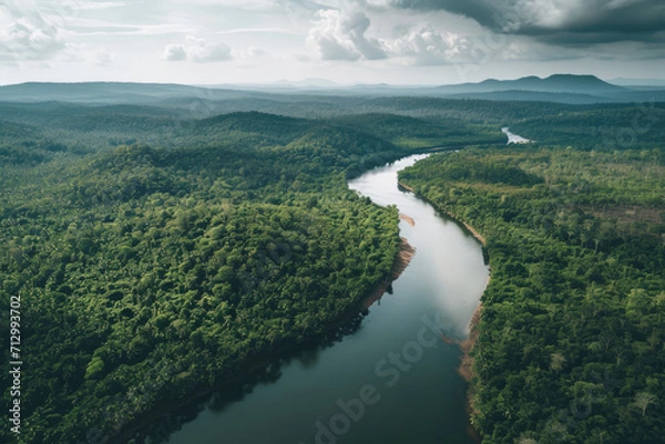 Fototapeta Top view of a river in rainforest