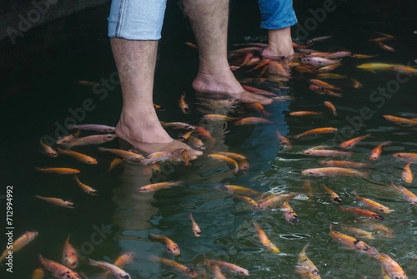 Fototapeta Tilapia fish therapy is a therapy using tilapia fish as a medium for acupuncture on the feet with the aim for healthy