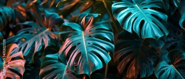 Fototapeta Neon Monstera deliciosa leaves growing in tropical forest for creative design elements. Generative AI