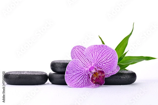 Obraz Storczyk z kamieniami bazaltowymi na białym tle