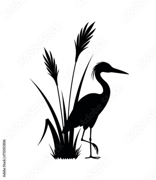 Fototapeta Heron and cane bush, eps 10 format