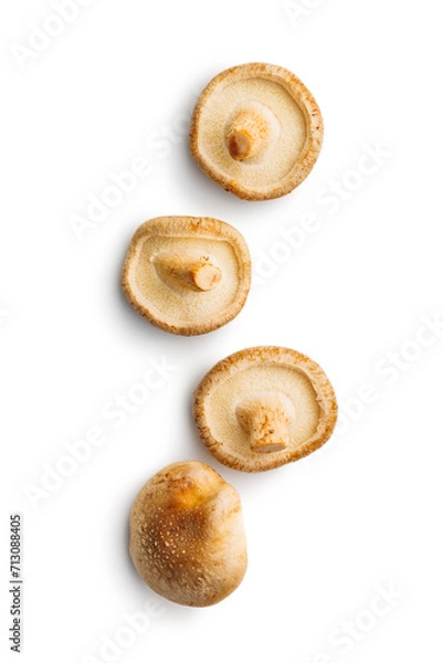 Fototapeta Fresh shiitake mushrooms isolated on white background.