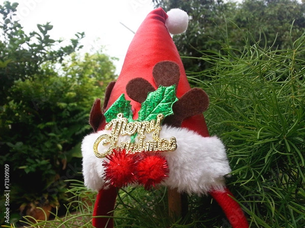 Obraz Christmas hat hang on a  tree.