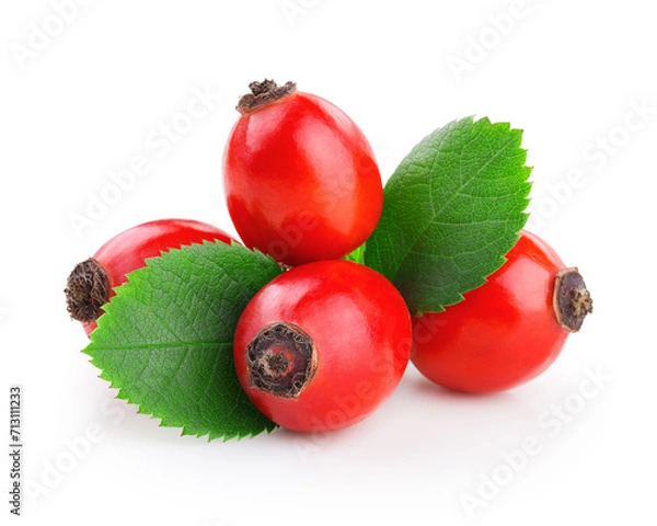 Obraz Rosehip with leaves