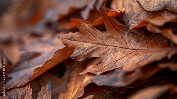 Fototapeta realistic macro photography of stacked dry leaves of different shades, autumn environment