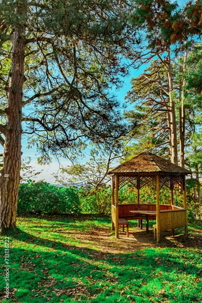 Obraz Park_20