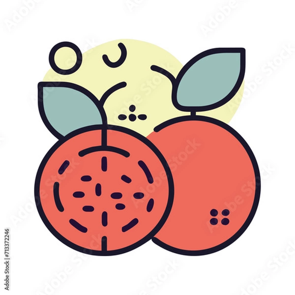 Obraz Olive cute illustration vector SVG