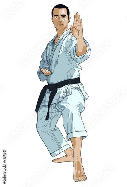 Obraz Karaté illustration