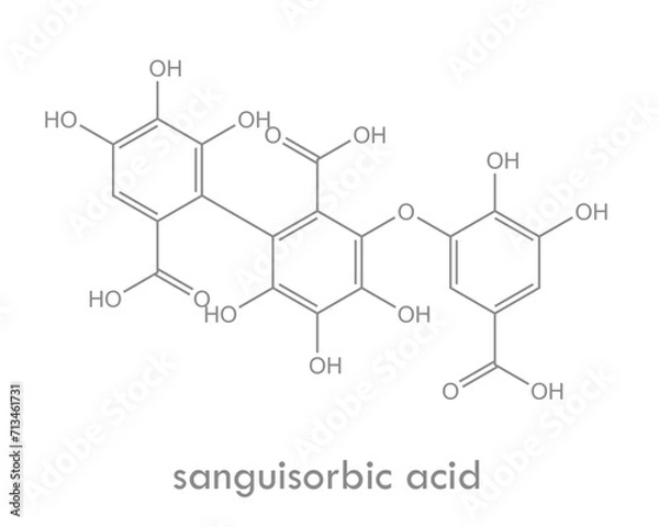 Fototapeta Sanguisorbic acid structure. Constituent of some ellagitannins.