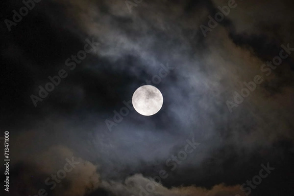 Fototapeta 展望の丘から臨むスーパームーン