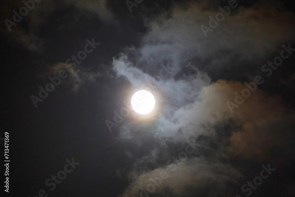 Fototapeta 展望の丘から臨むスーパームーン