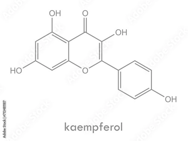Fototapeta Kaempferol structure. Molecule of flavonol (flavonoid) found in many plants.