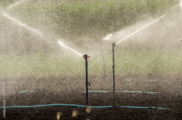 Obraz スプリンクラー