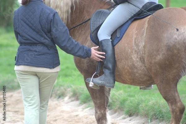 Fototapeta Pferde . Reitunterrricht