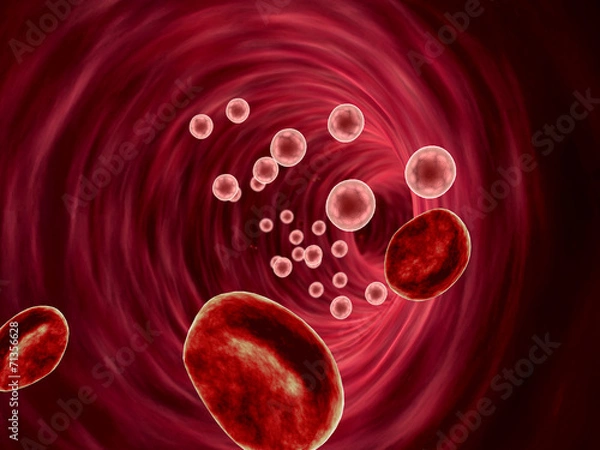 Fototapeta erythrocyte, blood cell