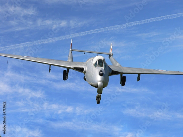 Fototapeta plane landing