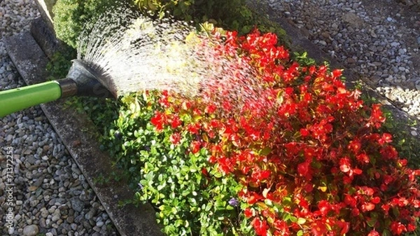 Obraz instant grab giessen I