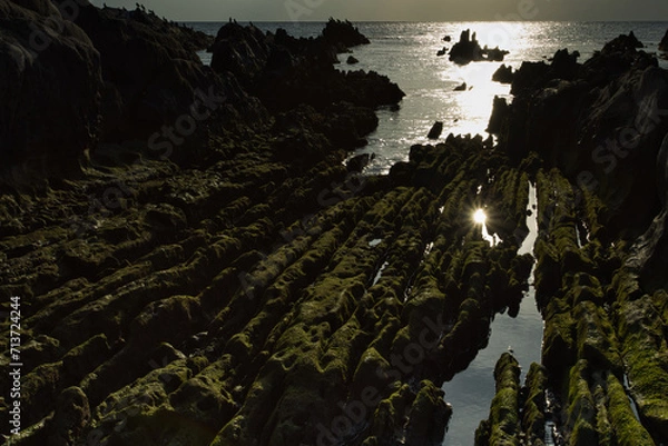 Fototapeta 根本海岸夕景