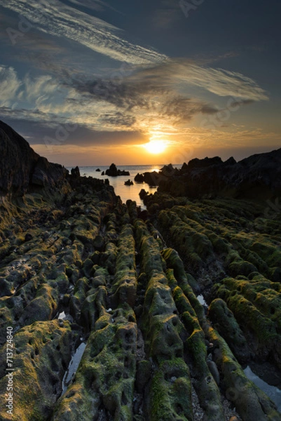 Fototapeta 根本海岸夕景