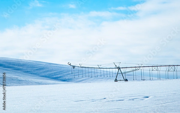 Fototapeta Next Season's crop sleeping snug under a blanket of Snow 